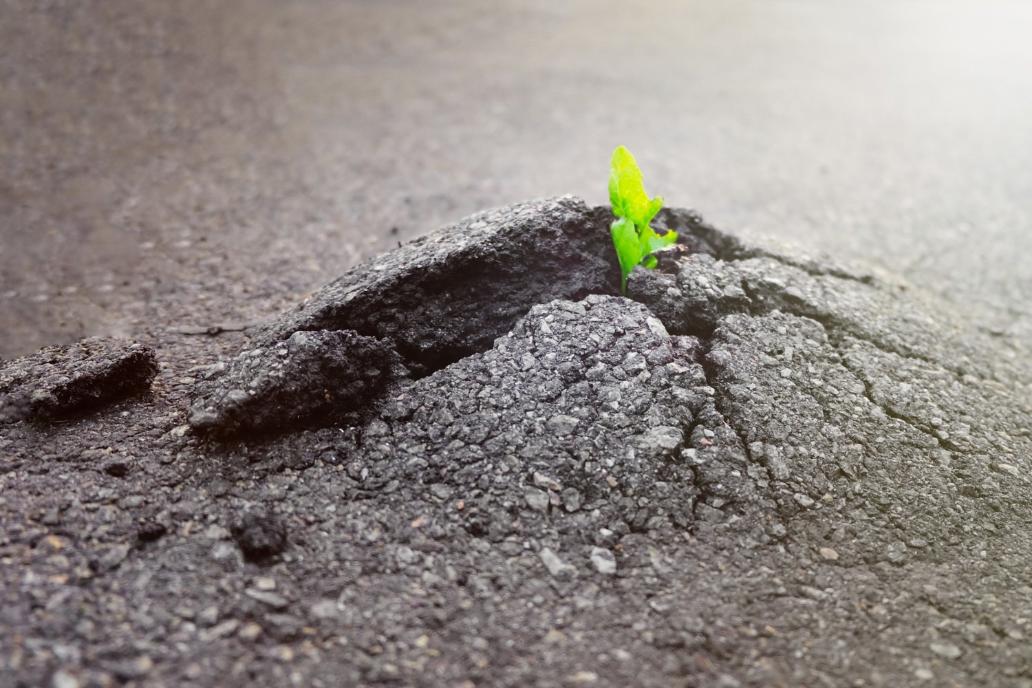 Mental Coach Motivazione: Il Sistema che Forza l’Azione